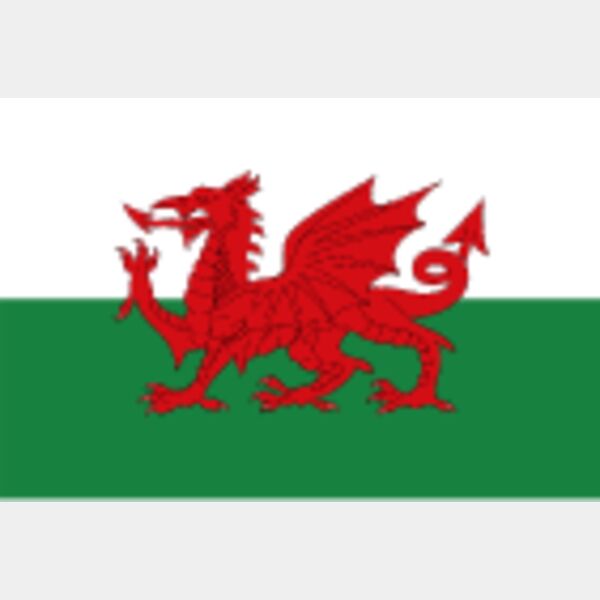 caersws wales flag dtf Thumbnail