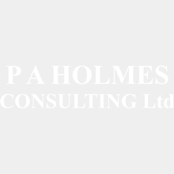 pa holmes consulting white dtf Thumbnail