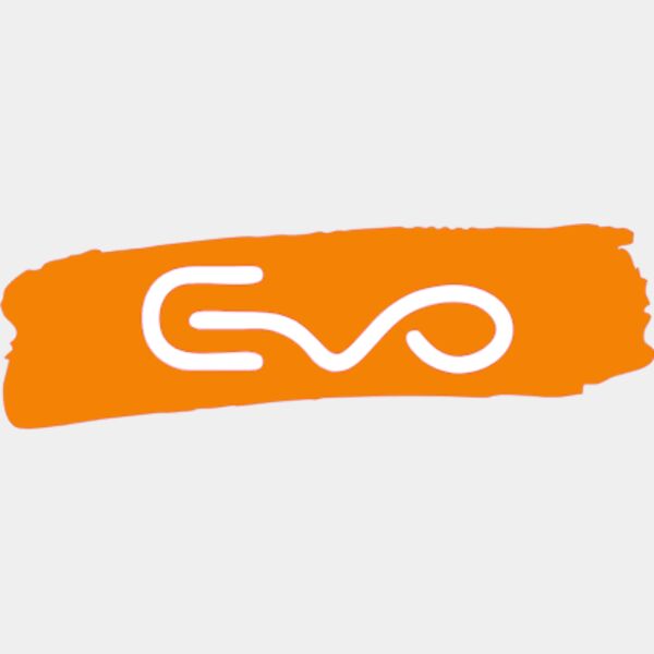 evo brush stroke Thumbnail