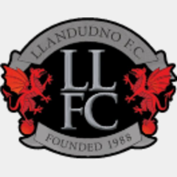 llandudno ball crest dtf Thumbnail