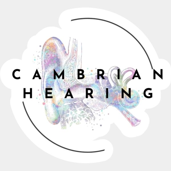 cambrian hearing dtf Thumbnail