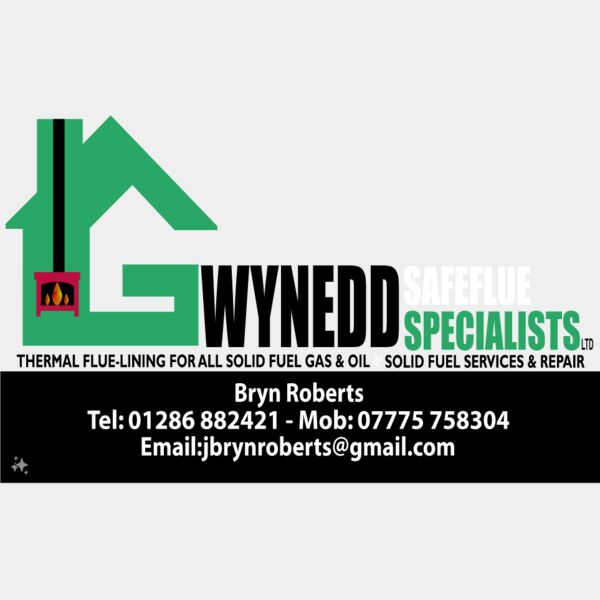 gwynedd safeflue on red dtf Thumbnail