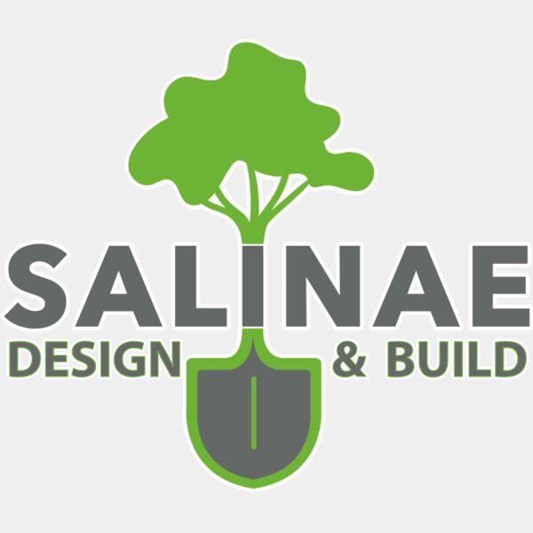 salinae dtf Thumbnail