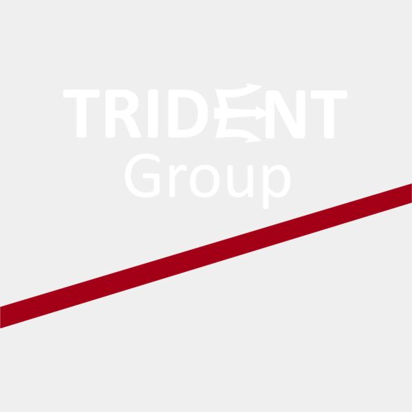 trident group dtf Thumbnail