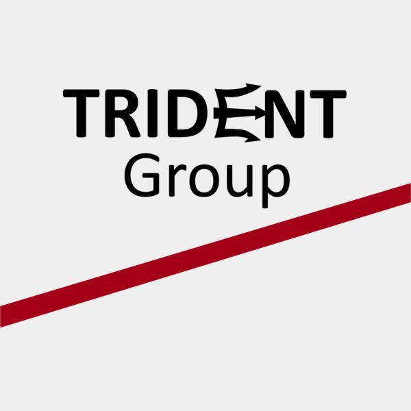 trident group gk dtf Thumbnail