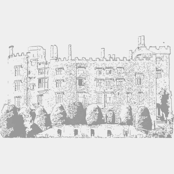 welshpool castle back dtf Thumbnail