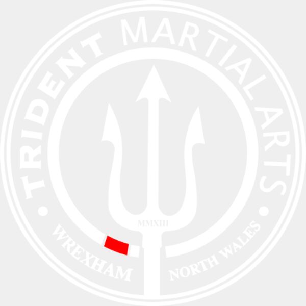 Trident Martial Arts Thumbnail