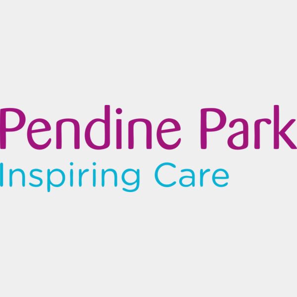 Pendine Park Thumbnail