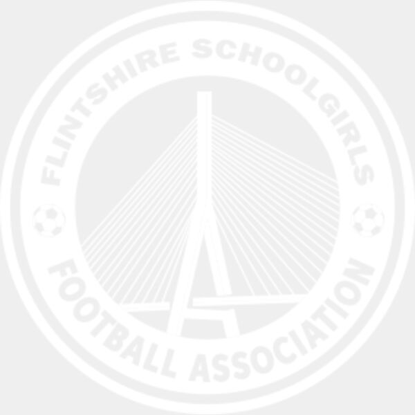 Flintshire Schoolgirls White crest Thumbnail