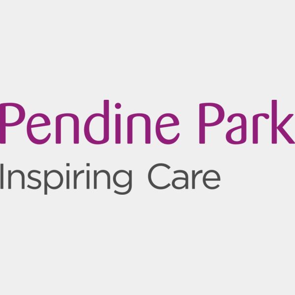 Pendine Park Thumbnail