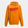 College hoodie Thumbnail